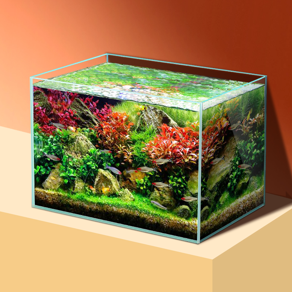 sttl Yee Pet Product Supplies  - All Fish In Aquarium avis et prix