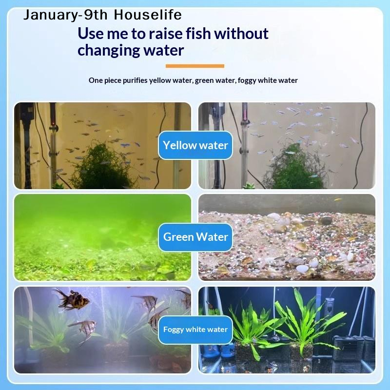 1/2/3 Bottles Aquarium Algae C - Aquarium Fish Green avis et prix
