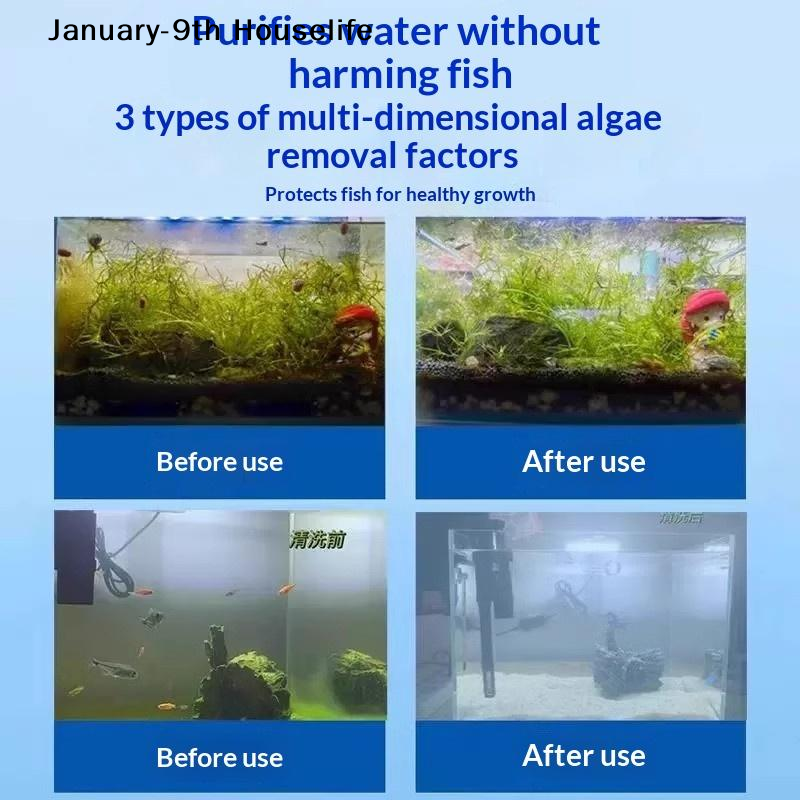 1/2/3 Bottles Aquarium Algae C - Aquarium Fish Green avis et prix
