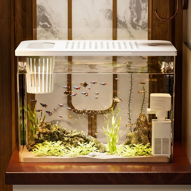 PET+ABS Fish Tank New Transpar - Aquarium Goldfish avis et prix