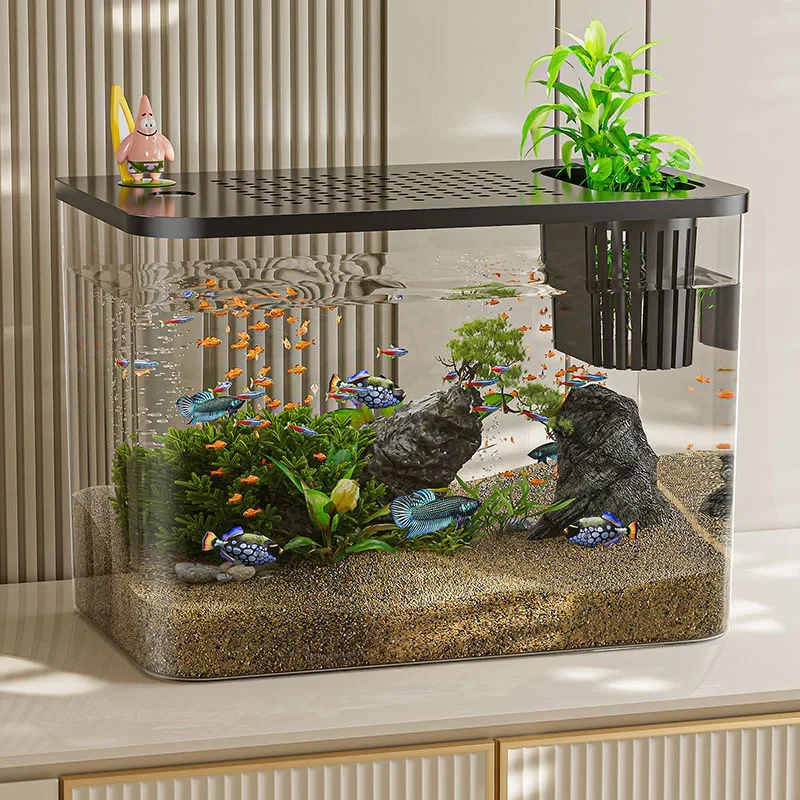 PET+ABS Fish Tank New Transpar - Aquarium Goldfish avis et prix