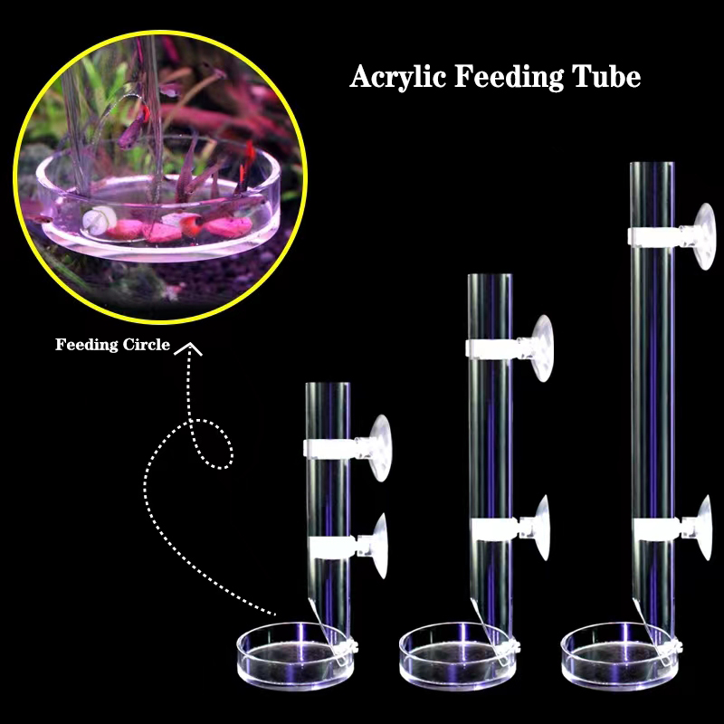 1Pcs Acrylic Aquarium Feeder T - Aquarium Fish Price avis et prix
