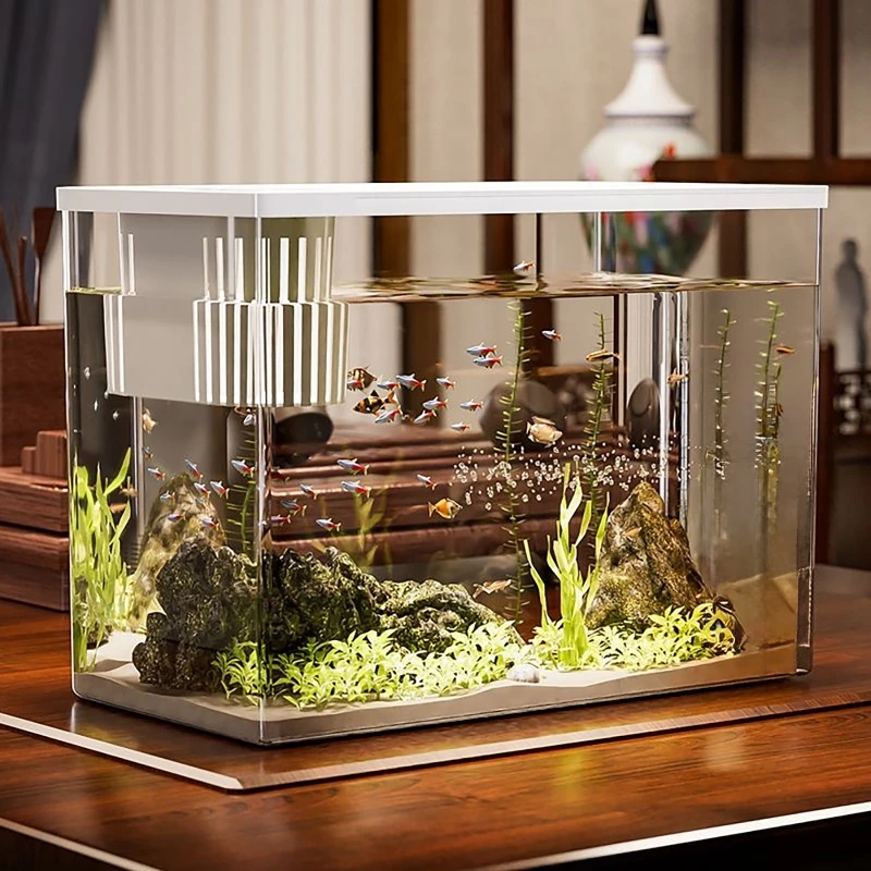 PET+ABS Fish Tank New Transpar - Aquarium Fish In Bowl avis et prix