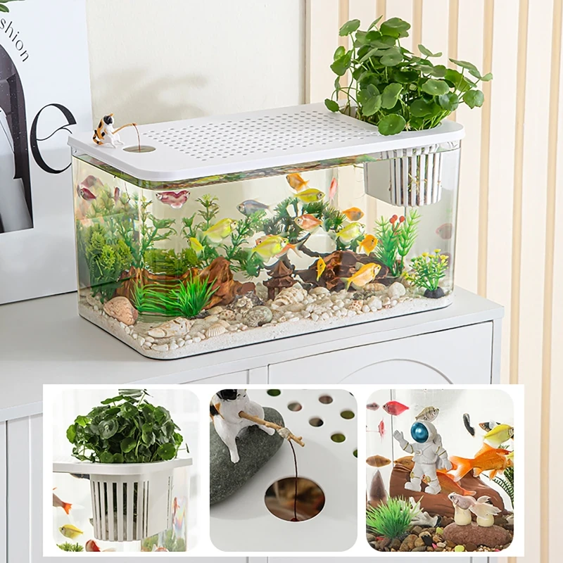 PET+ABS Fish Tank New Transpar - Aquarium Fish In Bowl avis et prix