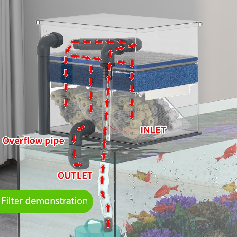Factory Direct Sales Aquarium  - Aquarium Fish Sale avis et prix