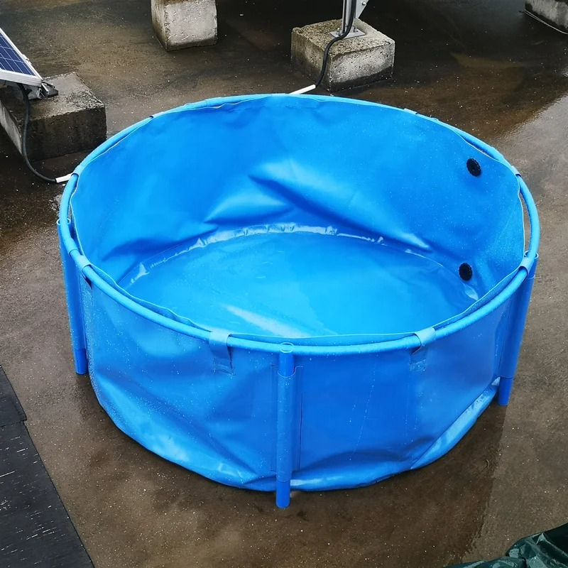 Bollison 470L Large PVC Foldab - All Fish In Aquarium avis et prix