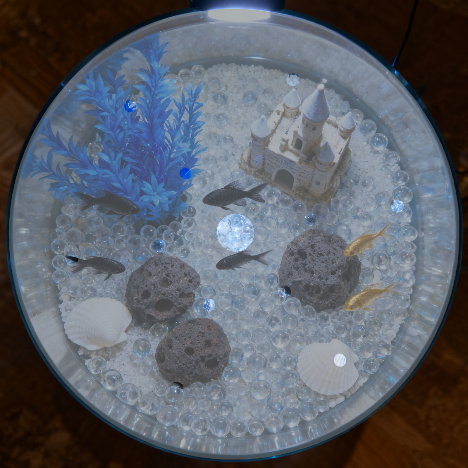7 Inch Round Acrylic Fish Tank - Aquarium Fish In Bowl avis et prix