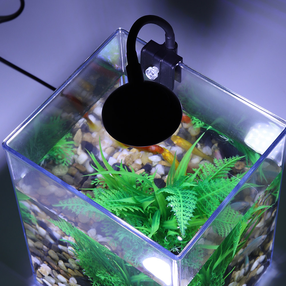 USB Desktop Fish Tank Set-Easy - Aquarium Goldfish avis et prix