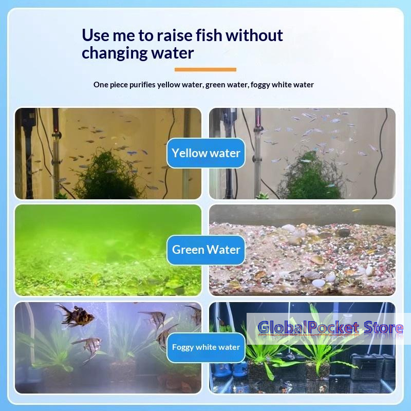 [TG823]1/2/3 Bottles Aquarium  - Aquarium Fish Green avis et prix